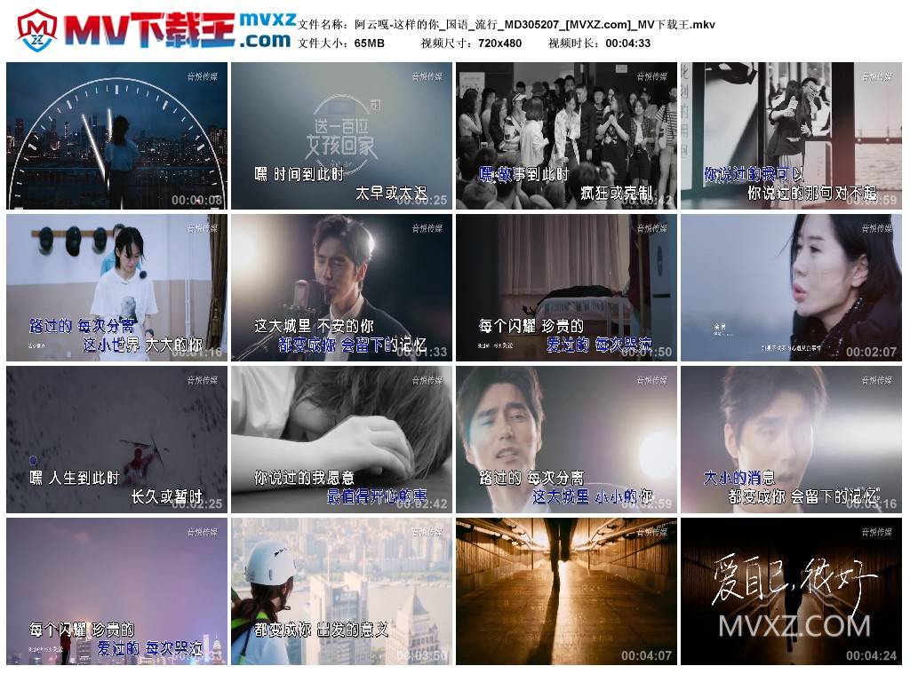 阿云嘎-这样的你_国语_流行_MD305207